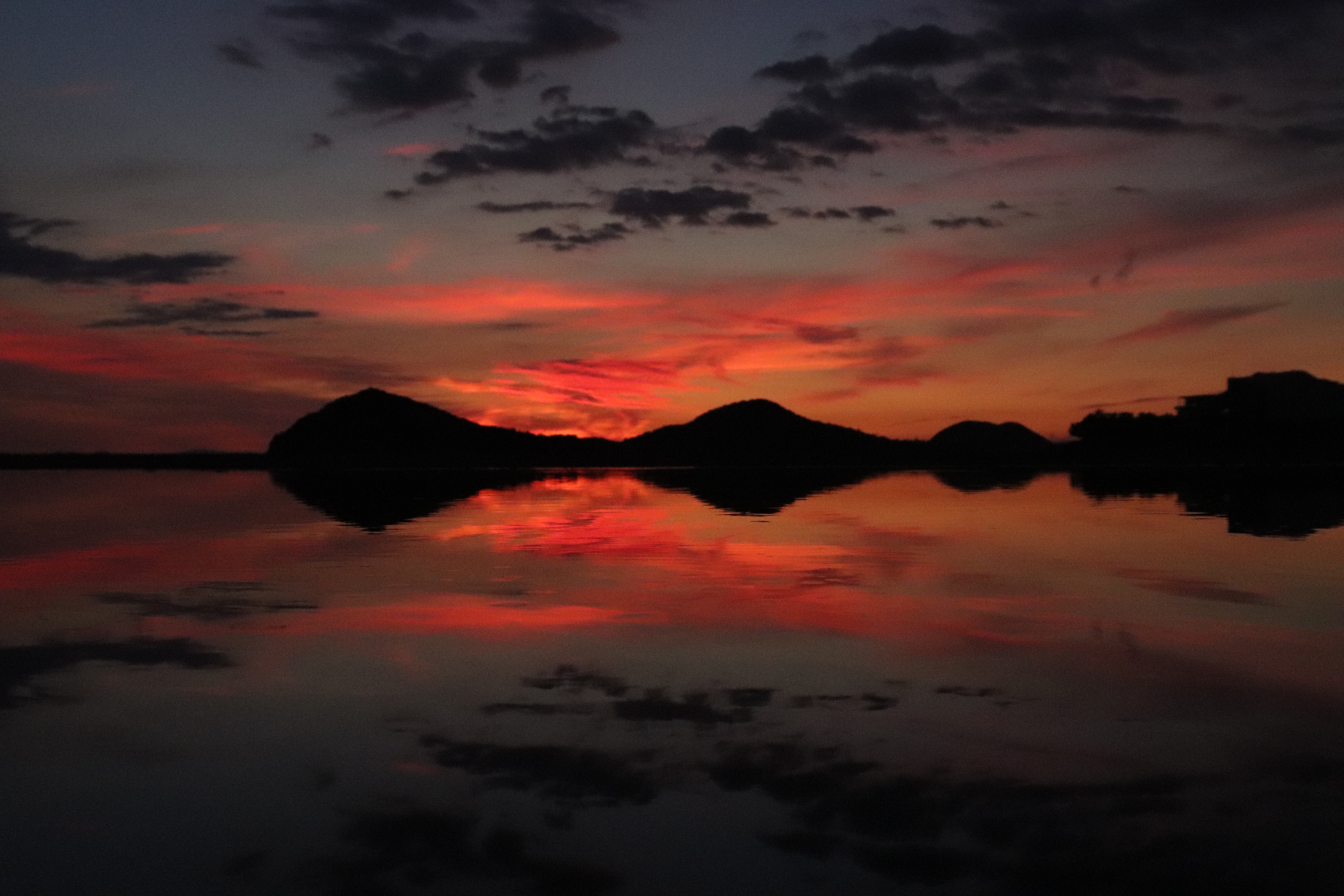 Introducing BioChemCalc for Experimental Biologists