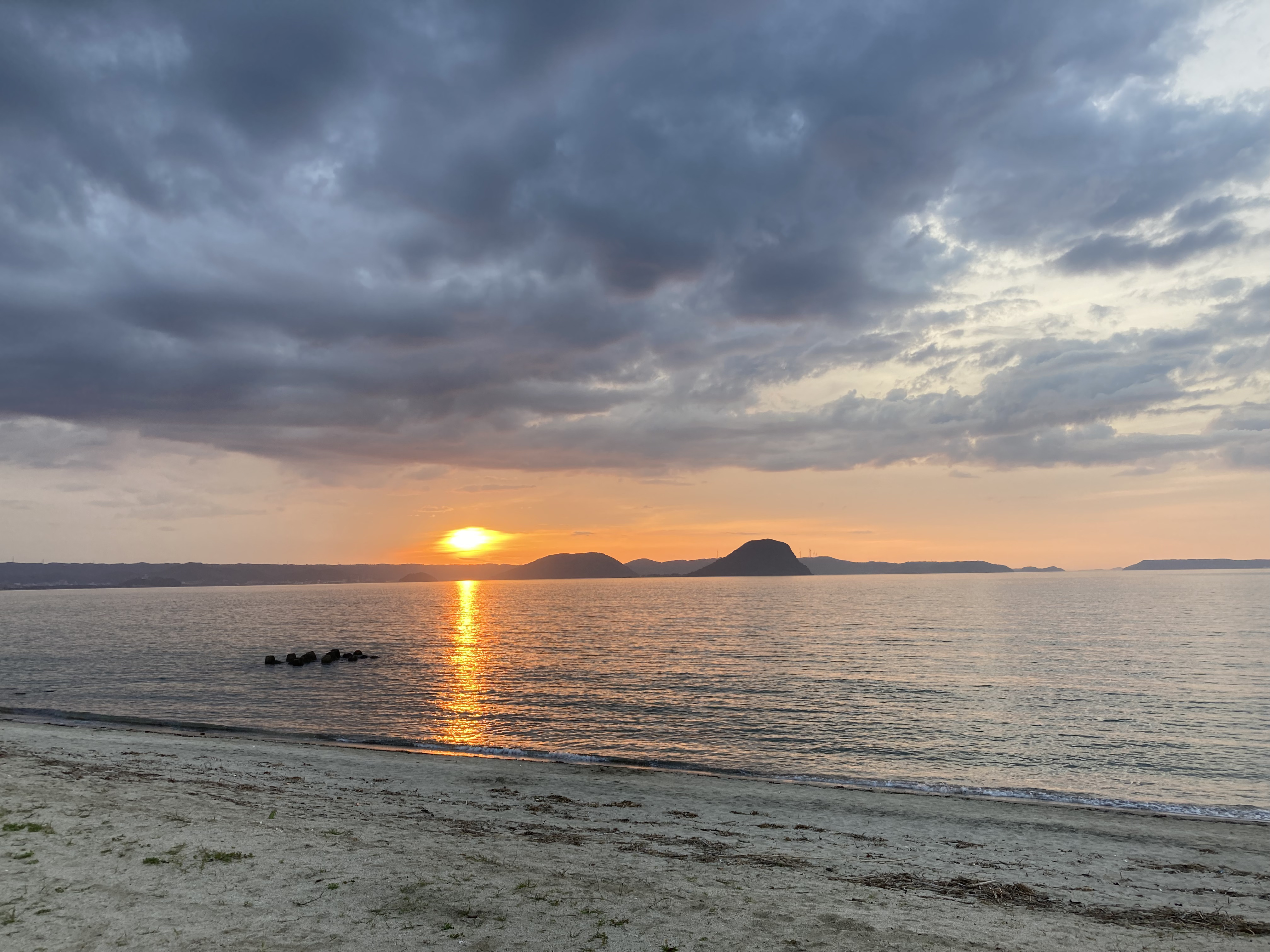 RT-qPCR Data Analysis: Heatmap and Statistical Testing